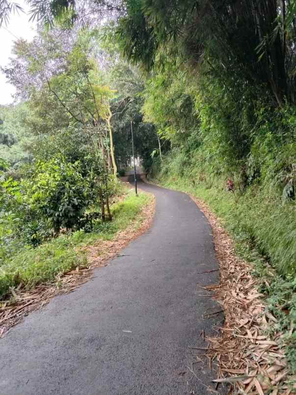 jual tanah mata air subang