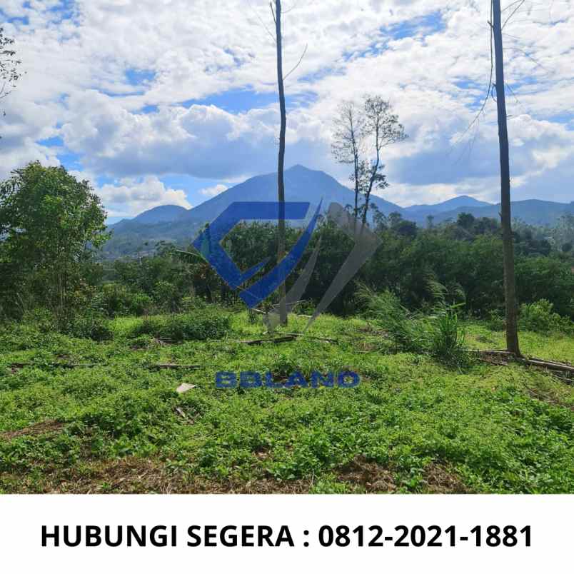 jual tanah murah cocok untuk villa di ciwidey