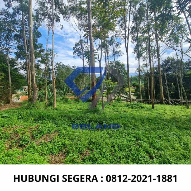 jual tanah murah cocok untuk villa di ciwidey