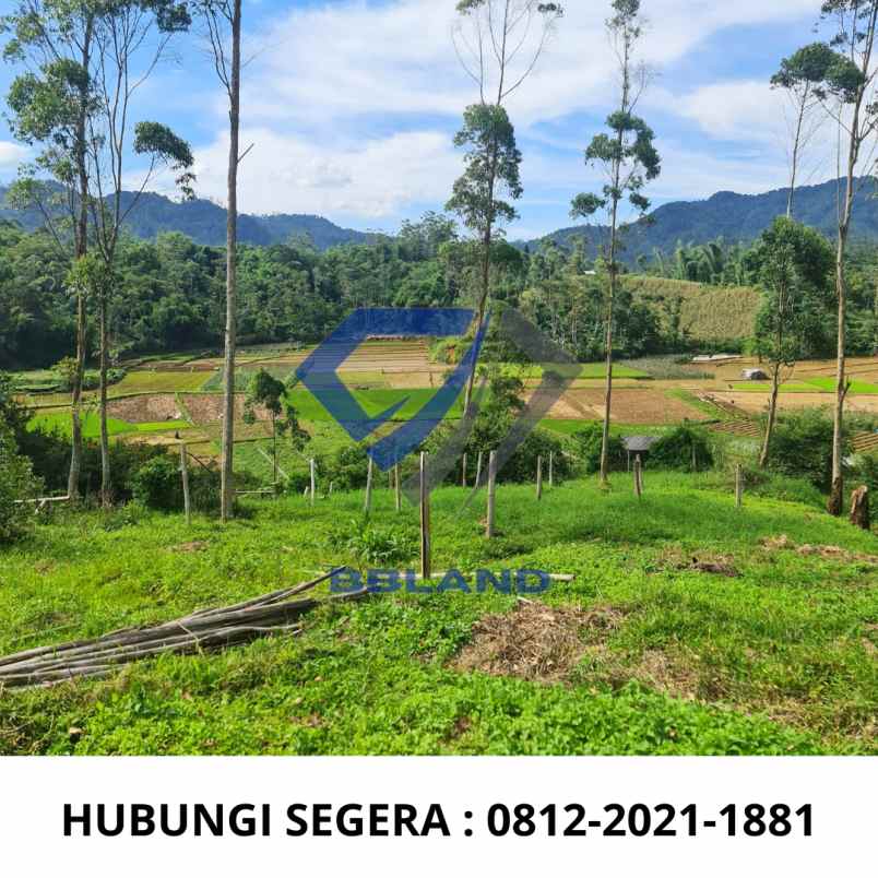 jual tanah murah cocok untuk villa di ciwidey