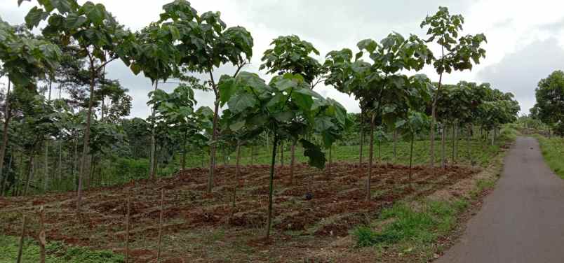 jual tanah murah di daerah majalengka