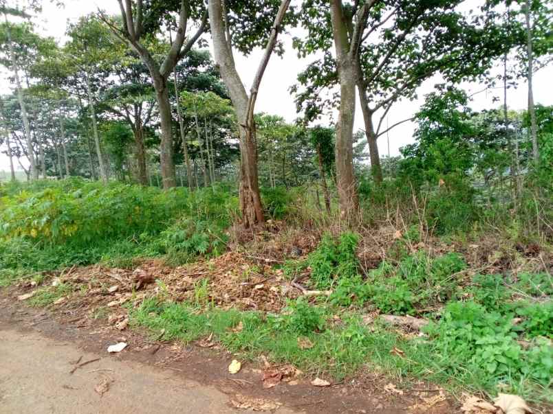 jual tanah murah di daerah majalengka