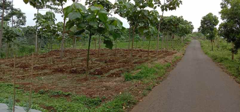 jual tanah murah di daerah majalengka