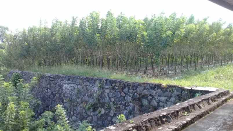 jual tanah murah di daerah sukabumi