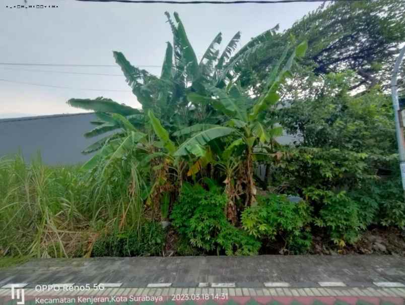 kavling kalilom timur strategis