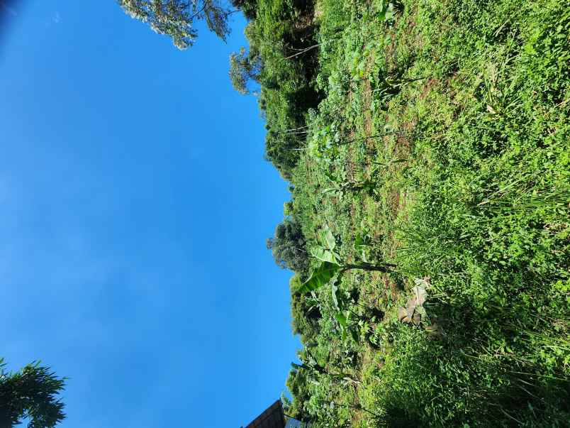 kavling villa dago parahyangan