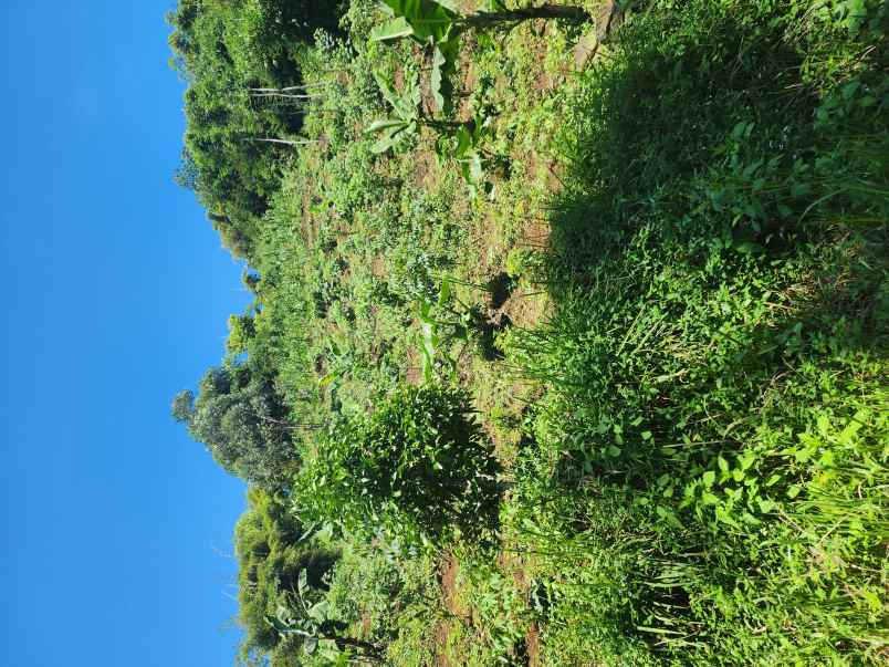 kavling villa dago parahyangan