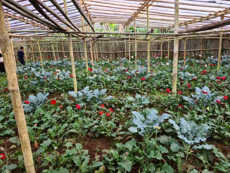 kavling villa dan bisnis di tempat wisata