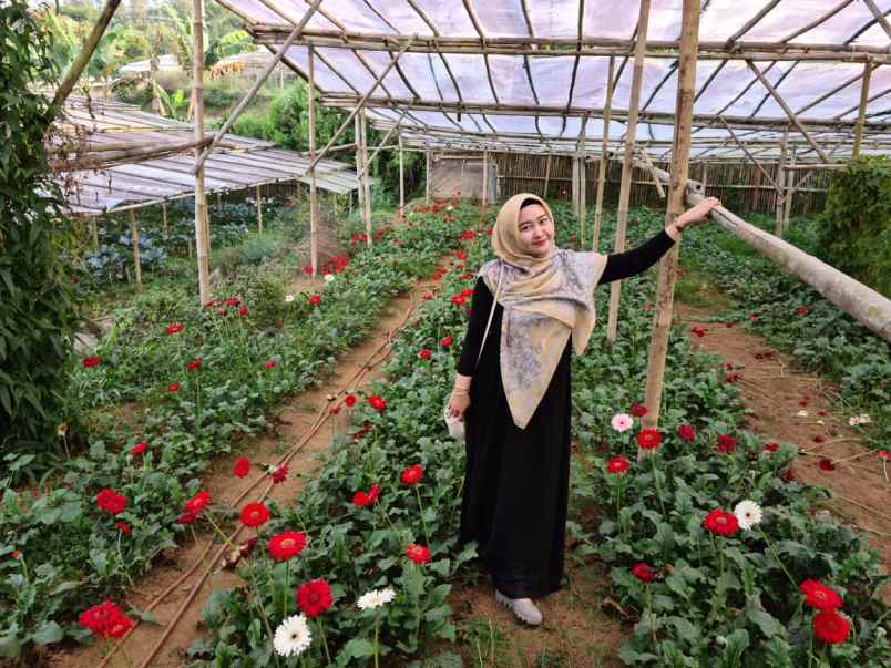 kavling villa dan bisnis di tempat wisata