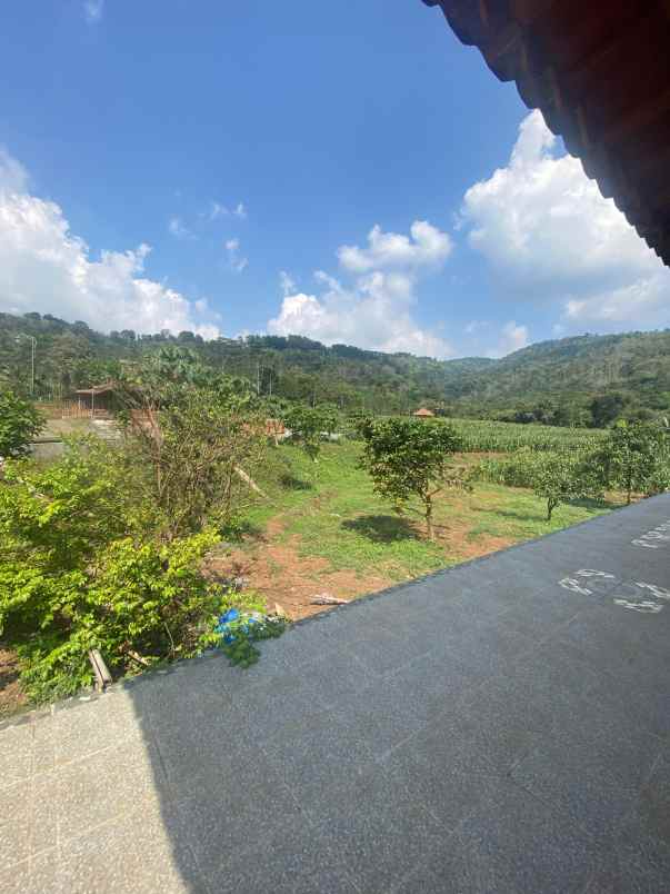 lahan ples kasebo cocok buat kf kebun