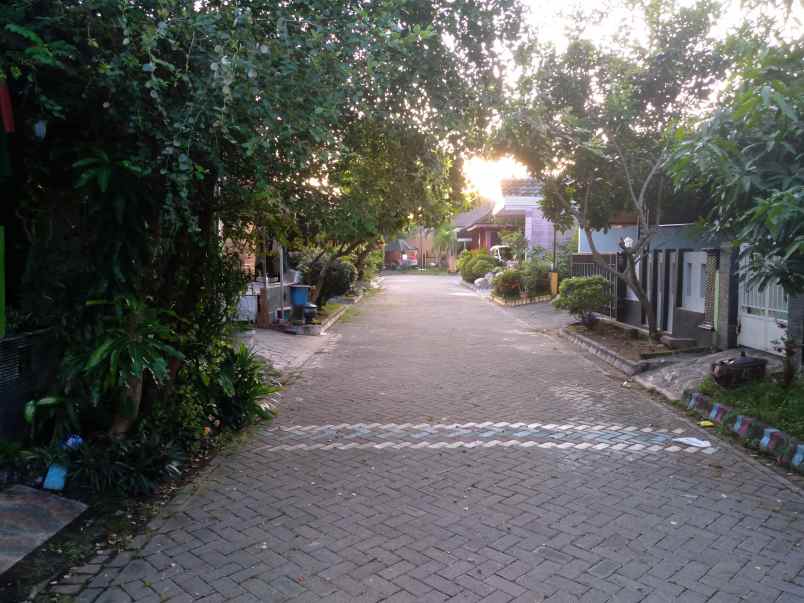 rumah asri di jantung kota madiun