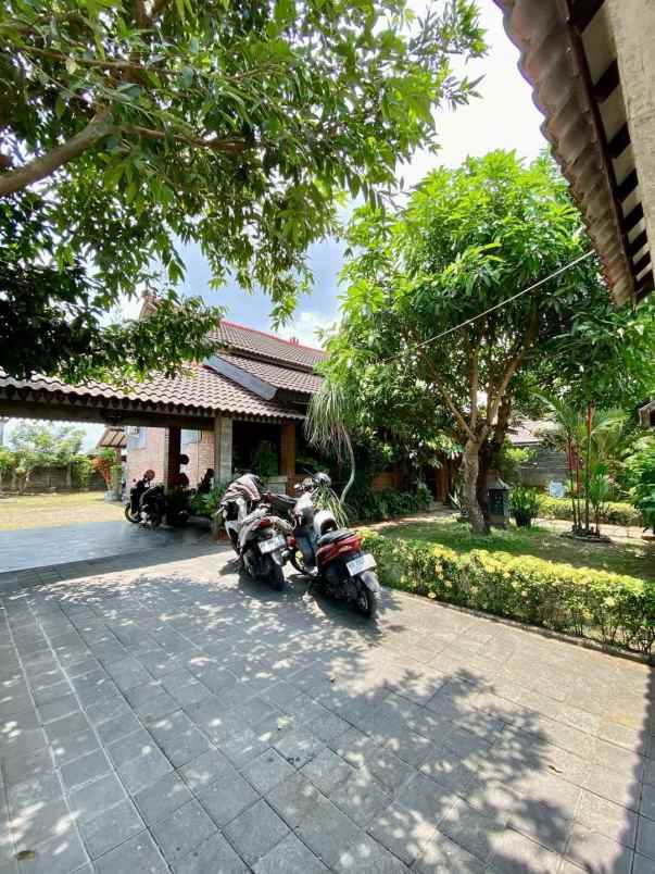 rumah etnik dekat candi sambisari yogyakarta