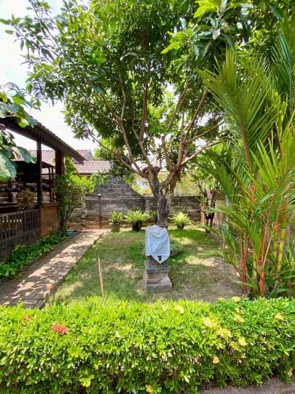 rumah etnik dekat candi sambisari yogyakarta