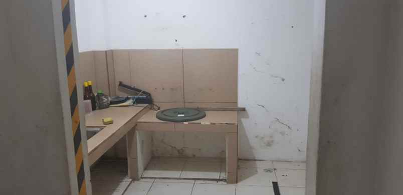 rumah kelapa hibrida kelapa gading