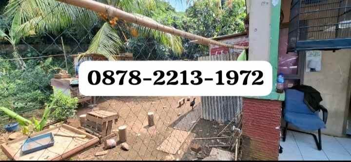 rumah komplek dekat ke taman buah mekarsari cileungsi