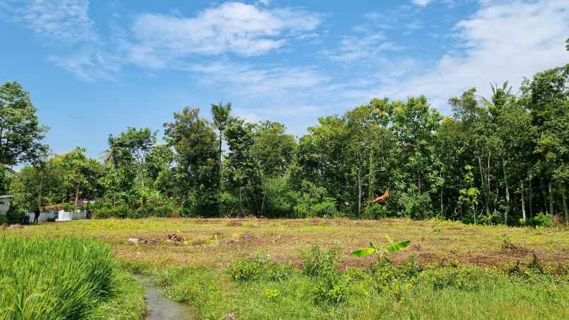 rumah murah kualitas mewah