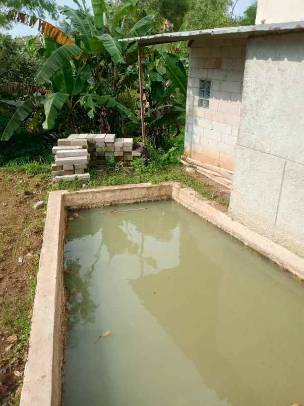 rumah setengah jadi balong kolam ikan
