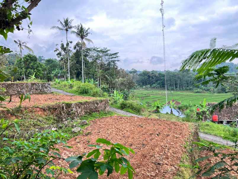tanah 1 2 hektar strategis dekat pasar karangpandan