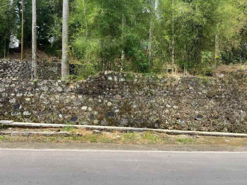 tanah 1 2 hektar strategis dekat pasar karangpandan