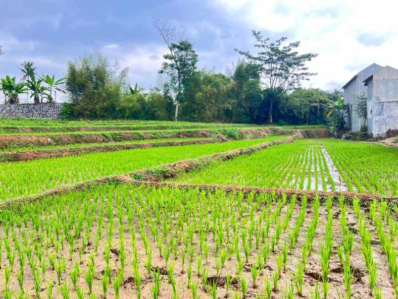 tanah 1 2 hektar strategis dekat pasar karangpandan