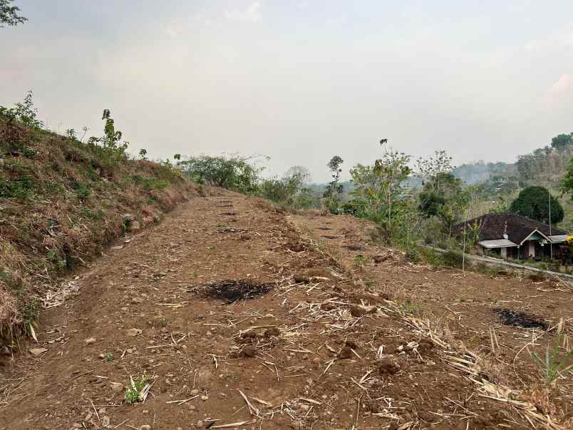 tanah 140 juta sambirejo sragen