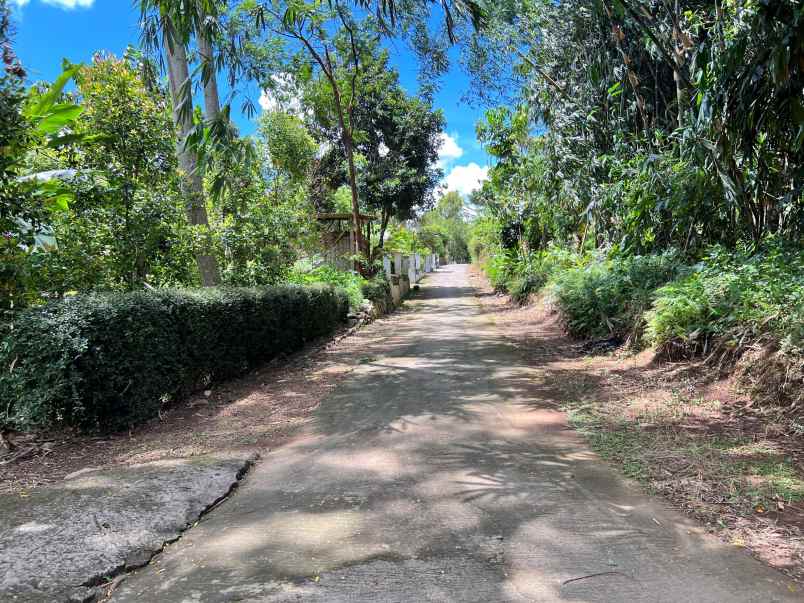 tanah 1748m hanya 175 juta mojogedang karanganyar