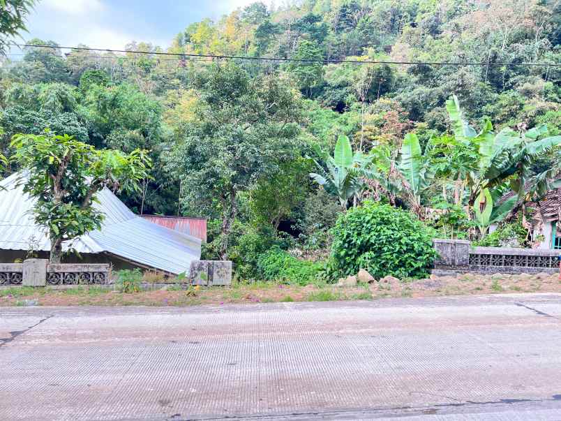 tanah 2 hektar dekat aliran sungai karanganyar