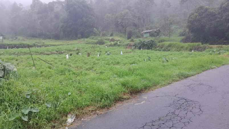 tanah 825m strategis tepi jl tawangmangu karanganyar