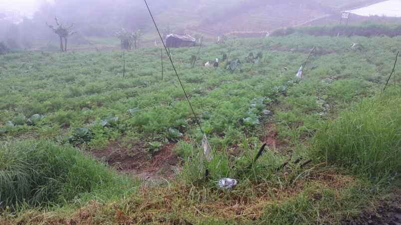 tanah 825m strategis tepi jl tawangmangu karanganyar