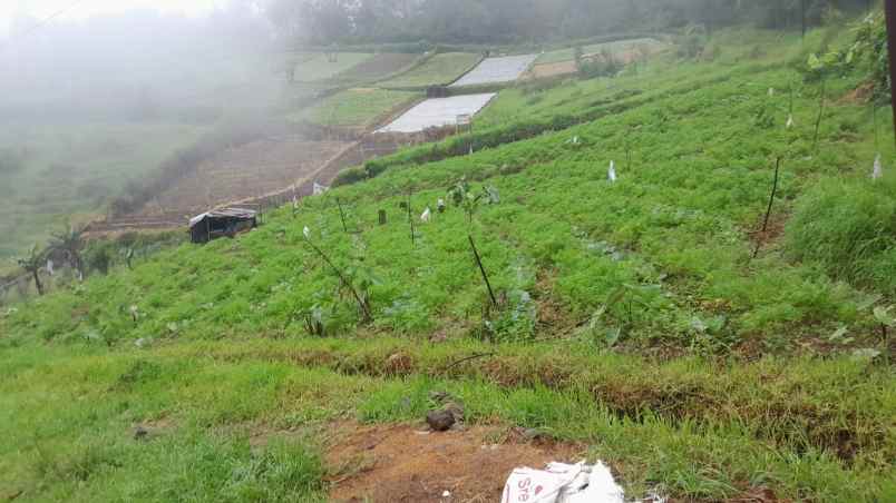 tanah 825m strategis tepi jl tawangmangu karanganyar