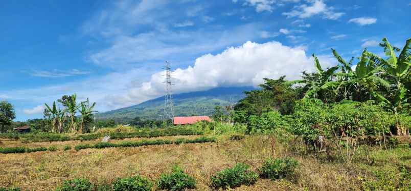 tanah area pagar alam