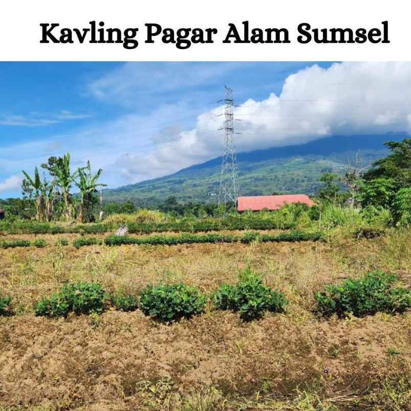 tanah area pagar alam