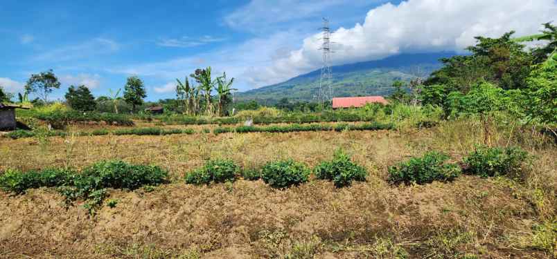 tanah area pagar alam