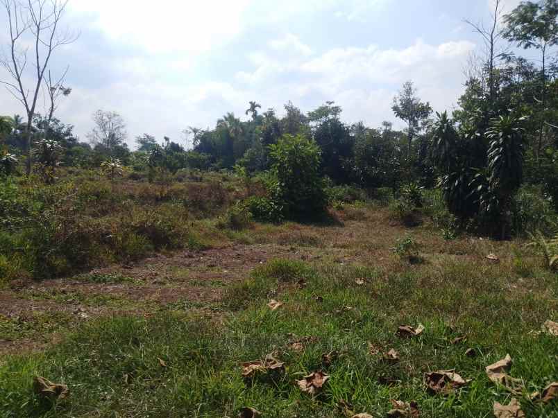 tanah daerah ciater subang jawa barat