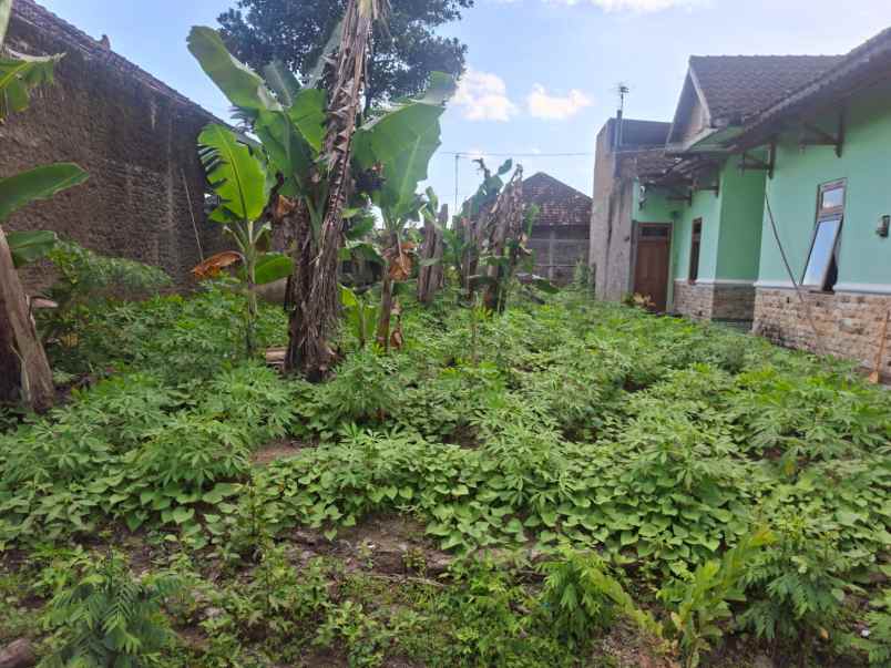 tanah datar 260jt kawasan industri sragen