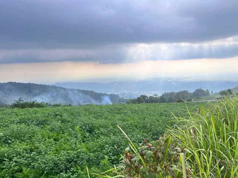 tanah datar kawasan wisata 650m kemuning karanganyar