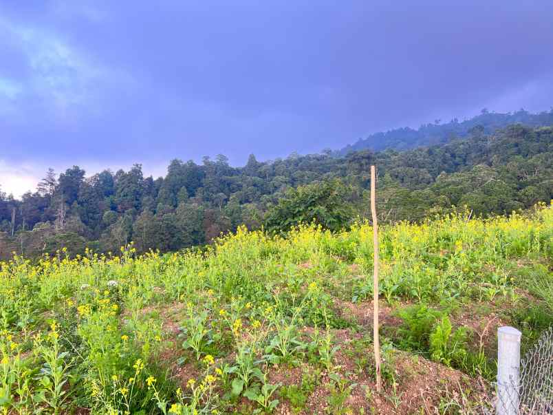 tanah datar kawasan wisata 650m kemuning karanganyar