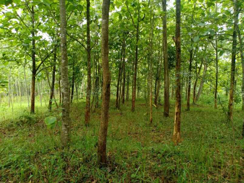 tanah desa kerjo karanganyar