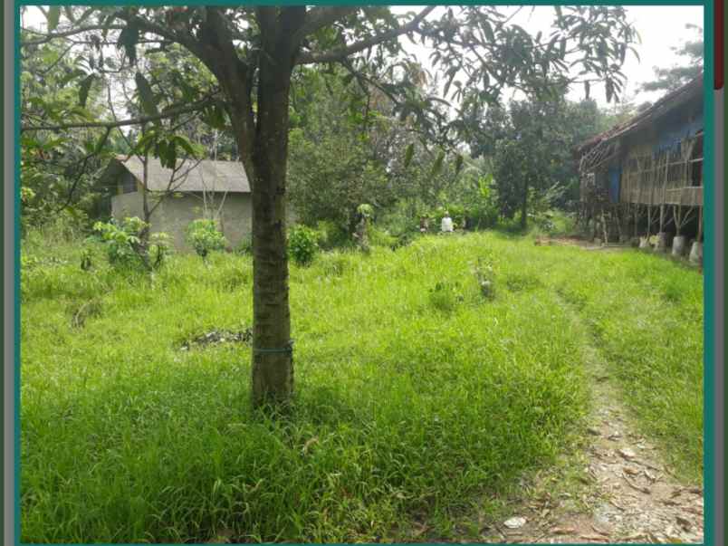 tanah dijual daerah tajur bogor