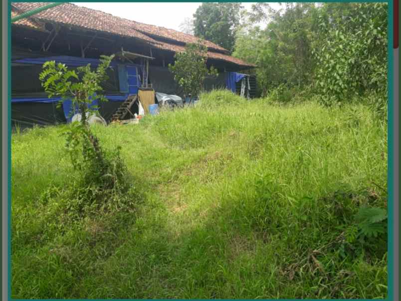 tanah dijual daerah tajur bogor