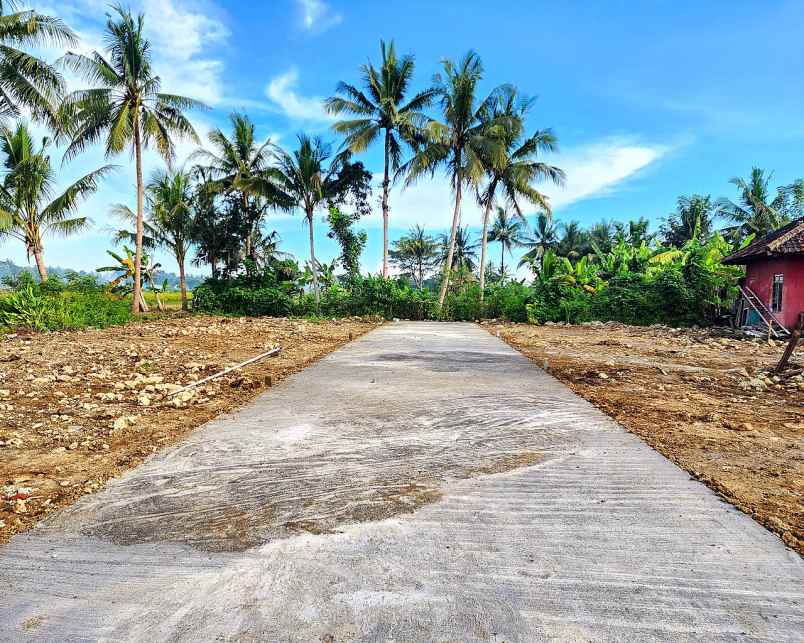 tanah dijual jogja di jl kyai ronggo dekat bandara yia