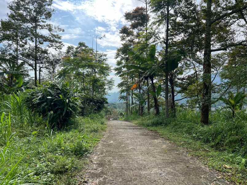 tanah idaman 7700m cocok untuk villa karanganyar