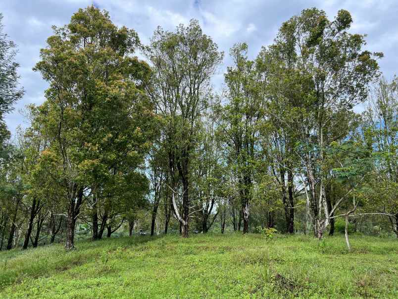 tanah idaman 7700m cocok untuk villa karanganyar