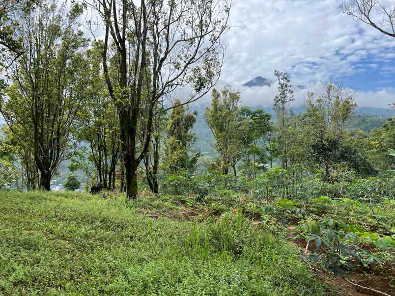 tanah idaman 7700m cocok untuk villa karanganyar