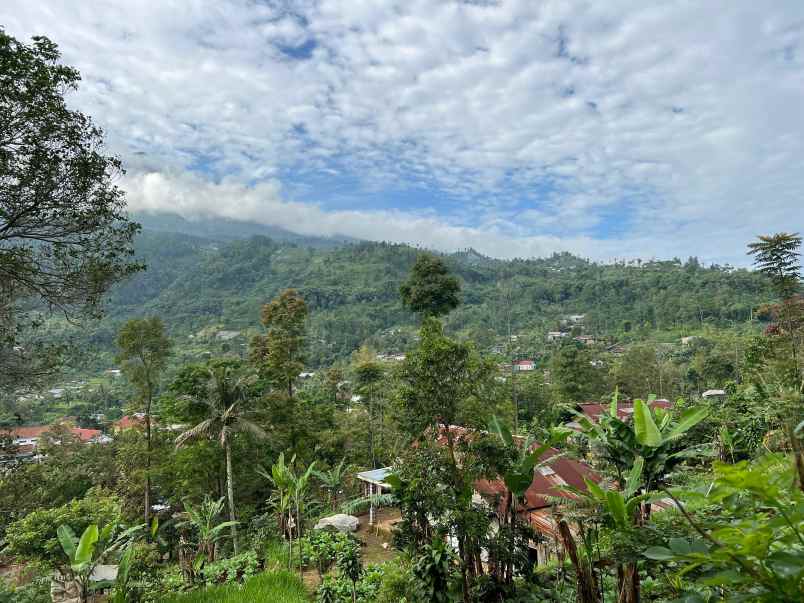 tanah idaman 7700m cocok untuk villa karanganyar