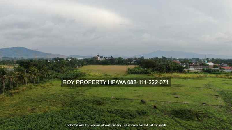 tanah jl raya bojonegara serdang