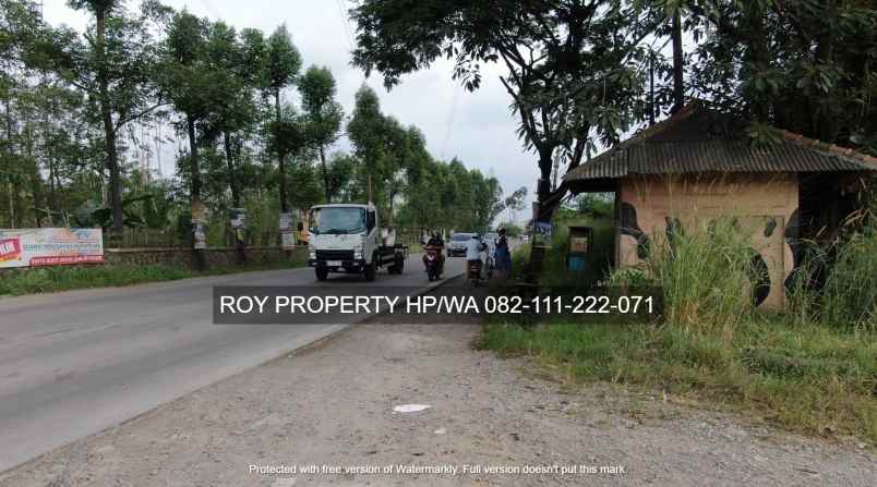 tanah jl raya bojonegara serdang