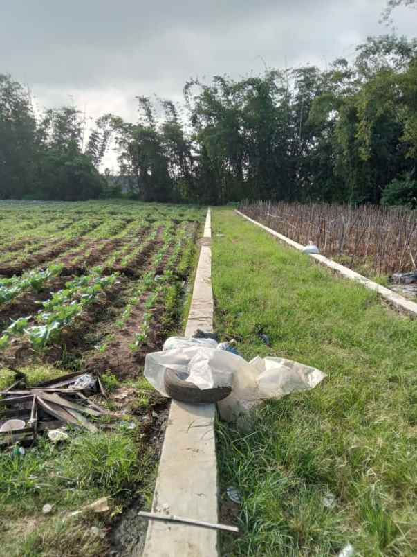 tanah kajang mojorejo batu