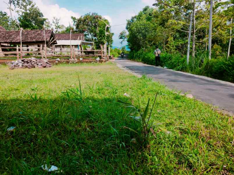 tanah karangpandan karanganyar