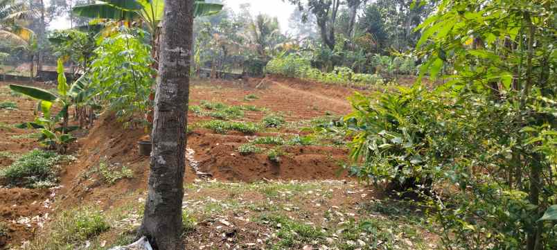 tanah kavling di megamendung puncak 1 065 m 3 453 m